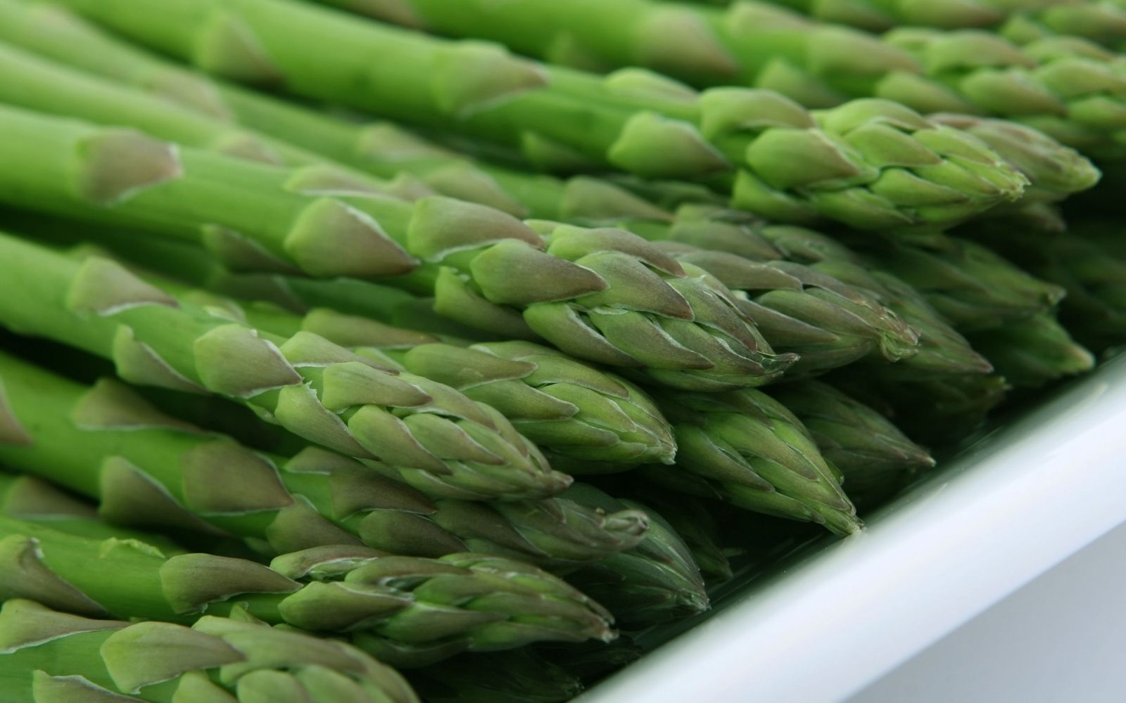 Green asparagus spears