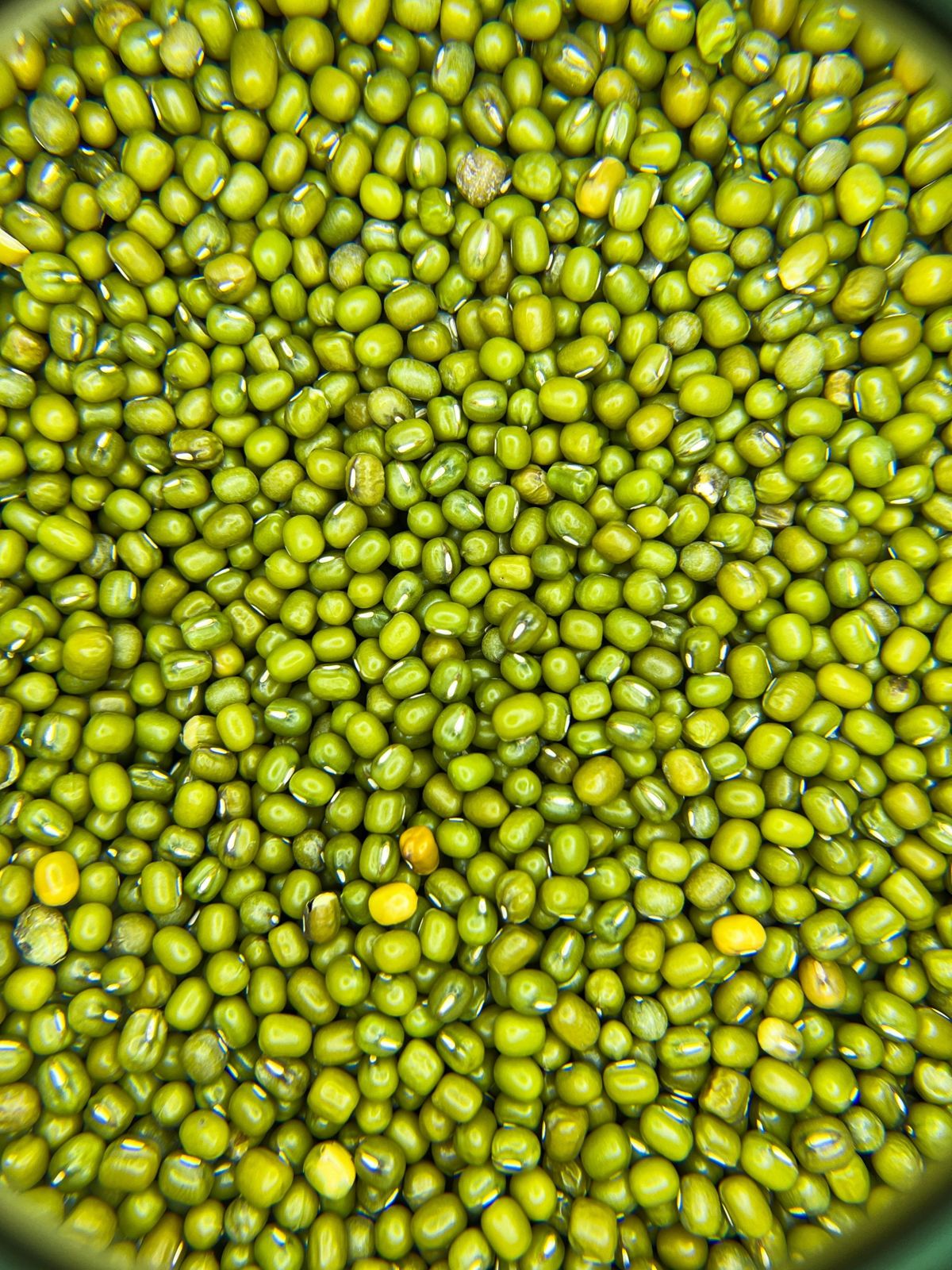 Fresh-shelled black eyed peas