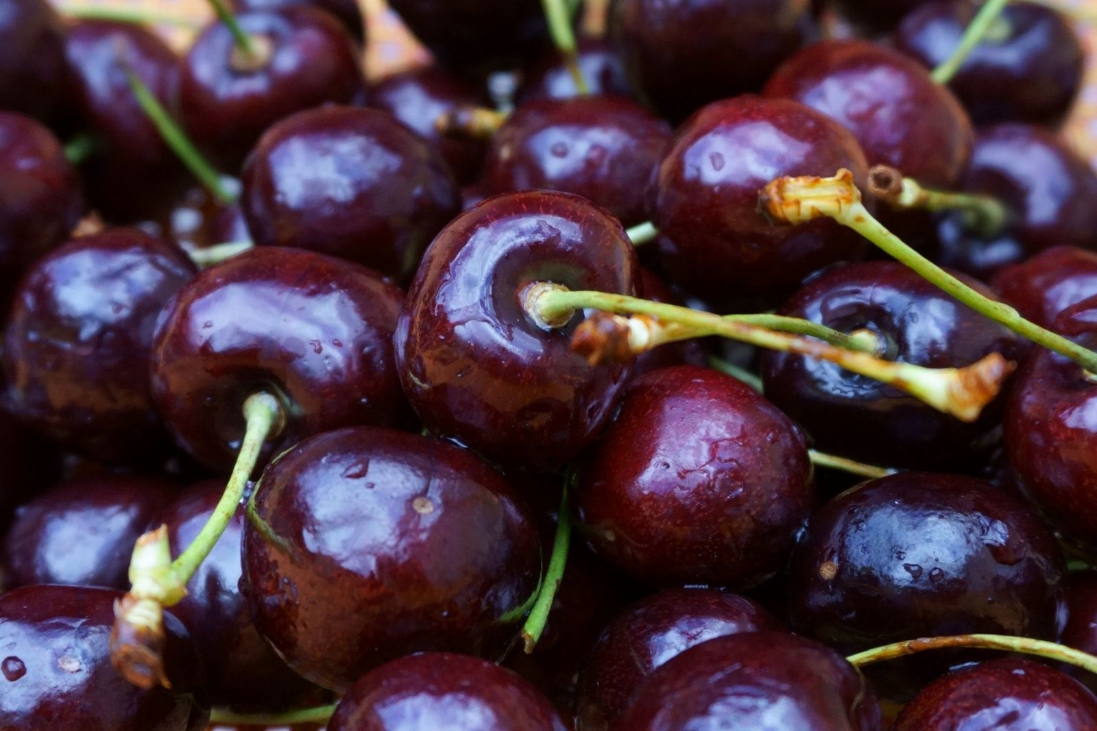 Dark sweet cherries