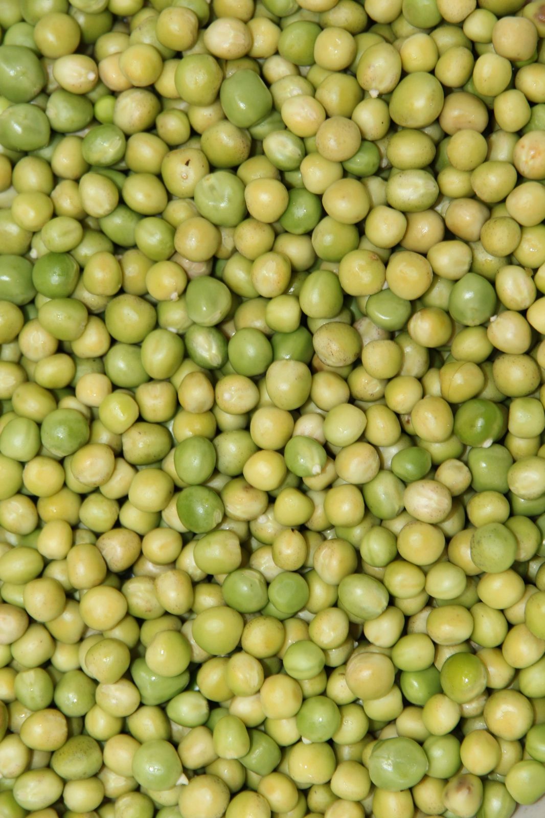Green pigeon peas