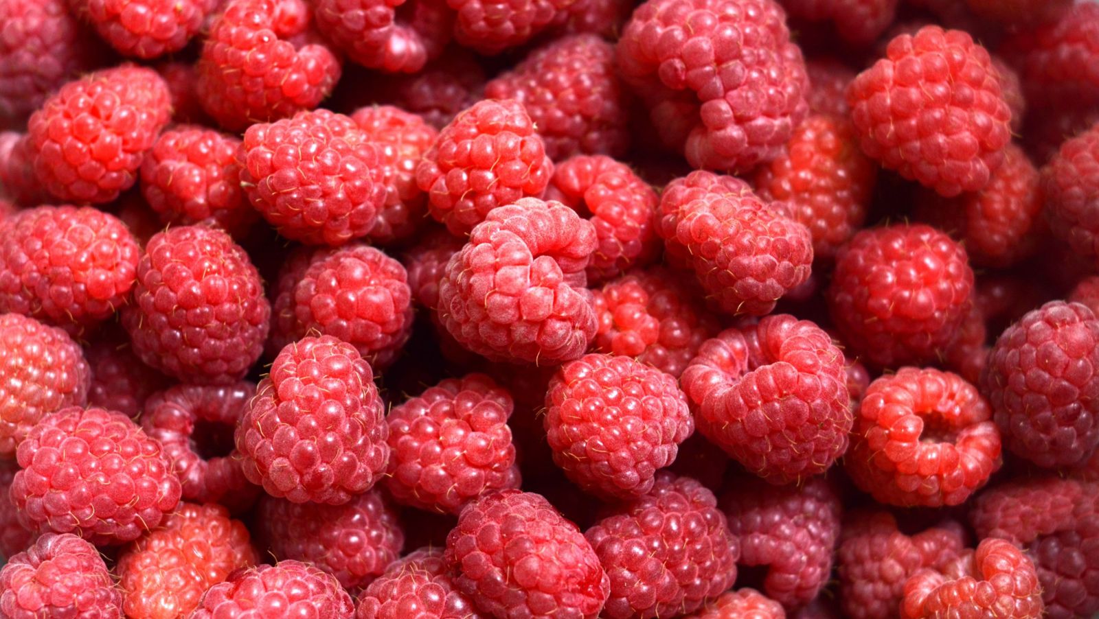 Red raspberries