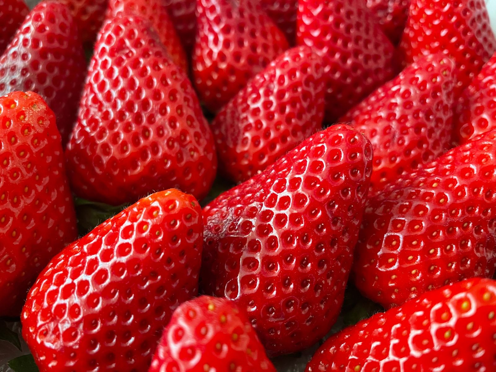 Red strawberries
